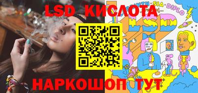 индика Камышлов