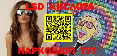 индика Камышлов