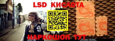 индика Камышлов