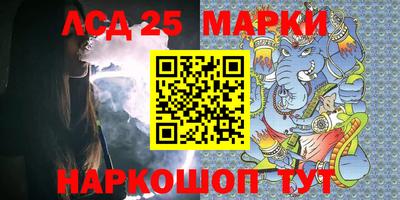 индика Камышлов
