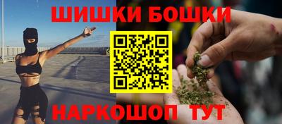 индика Камышлов