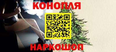 индика Камышлов