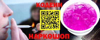 индика Камышлов