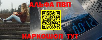 индика Камышлов
