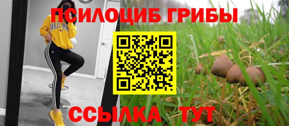 Галлюциногенные грибы прущие грибы Котельники