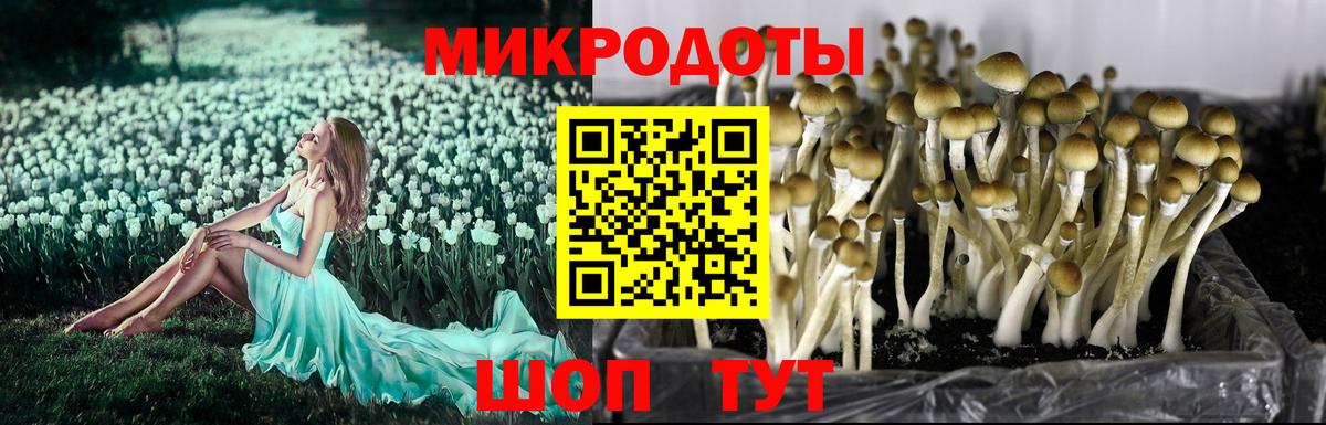  COCAIN Котельники