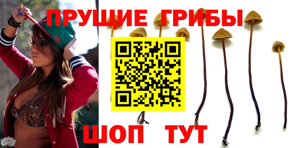 Котельники  наркошоп  Вход с VPN  Псилоцибиновые грибы прущие грибы 